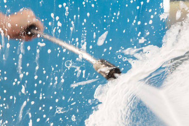 Best Roof Washing  in Shoh, IL